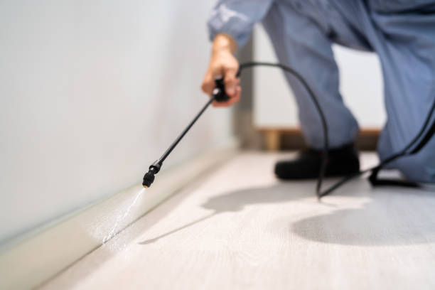 Certified termite inspector examining foundation in Butte